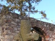 Stadt- und Industriemuseum Rüsselsheim: Führung über den Alten Friedhof