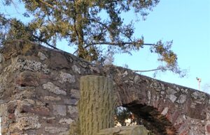 Stadt- und Industriemuseum Rüsselsheim: Führung über den Alten Friedhof