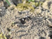 Gemeinsam für die Natur