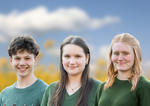 Design ohne Titel(15)