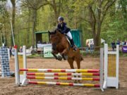 Reitsport, Sonne und beste Stimmung