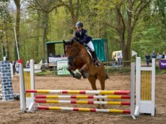 Reitsport, Sonne und beste Stimmung