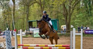 Reitsport, Sonne und beste Stimmung