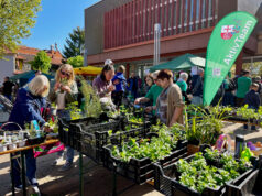 Pflanzentauschbörse und vieles mehr