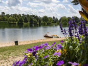 Waldschwimmbad öffnet am 23. Mai