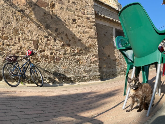 Seit der Erfindung des Fahrrads erlebt das Gefährt einen anhaltenden Siegeszug. Mit ihm bewältigten Menschen auch weite Distanzen. Niemand muss aber kein eingefleischter Radfahrer sein, oder mit dem Rad auf dem Archivbild inSpanien auf dem Jakobsweg unterwegs sein. Das Stadtradeln bietet auch Neulingen eine gute Gelegenheit, das Zweirad als praktisches und komfortables Fortbewegungsmittel auch im Alltag zu entdecken. Foto: Gregor Starosczyk-Gerlach