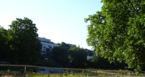 Neuer Laubenheimer Grundschulbau geht zum Schuljahr 2030/2031 in Betrieb