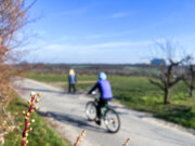 Mit Kennern auf Touren durch Mainz und Rheinhessen
