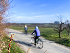 Mit Kennern auf Touren durch Mainz und Rheinhessen