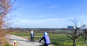 Mit Kennern auf Touren durch Mainz und Rheinhessen