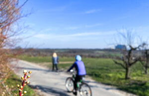Mit Kennern auf Touren durch Mainz und Rheinhessen Mainzer Radfahrforum begleitet das Stadtradeln
