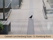 Mit neuem Blick durch den Stadtteil laufen und die Umwelt anders sehen