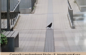 Mit neuem Blick durch den Stadtteil laufen und die Umwelt anders sehen Eröffnung der Zehn-Rahmen-Ausstellung „Kunst auf dem Lerchenberg von Street-Art bis Naturwunder“ im Stadtteilladen