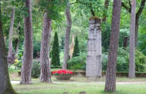 Gedenkstätte für Sternenkinder auf dem Waldfriedhof erwünscht Ortsbeirat wünscht sich einen Ort der Stille und des Respekts