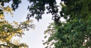 Bestattungskultur ist Lebenskultur, Lebenskultur ist Bestattungskultur