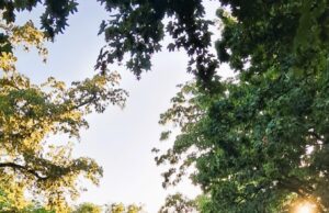 Bestattungskultur ist Lebenskultur, Lebenskultur ist Bestattungskultur Auf Einladung des HGG referierte Otto Moster im Gonsenheimer Rathaus