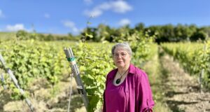 Winzerseelsorge bietet Hilfe in belastenden Zeiten