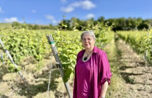 Winzerseelsorge bietet Hilfe in belastenden Zeiten EKHN reagiert auf wachsenden Druck in Winzerbetrieben
