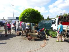 „Jeder Quadratmeter hilft dem Klima“