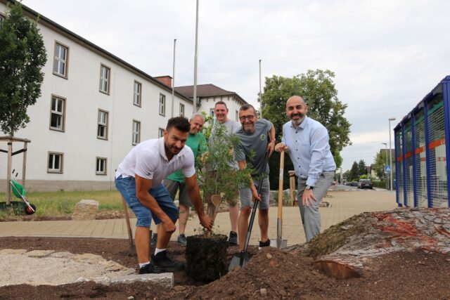 Granatapfelbaum zu 10 Jahre Sophie-Opel-Schule