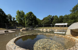 Hartenberg-Münchfeld setzt auf Städtebauförderung Ortsvorsteherin Christin Sauer sieht Chancen für Infrastruktur und Hartenbergpark