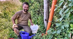 Durstige Wildtiere im Weinberg