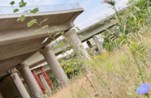 Priorisierung der Vorlandbrücke in Mombach Bund beschleunigt die Planungen für den Ersatzneubau
