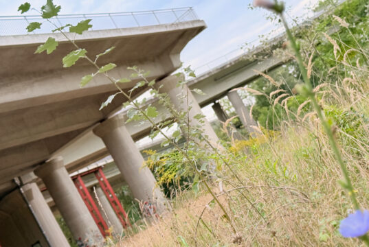 Priorisierung der Vorlandbrücke in Mombach