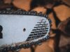 Vandalismus an Stadtbaum: Kein harmloser Streich