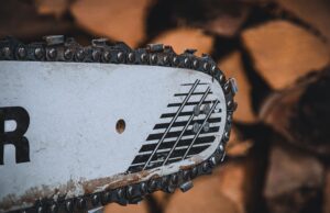 Vandalismus an Stadtbaum: Kein harmloser Streich