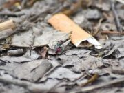Plastik, Müll und die Folgen