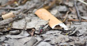 Plastik, Müll und die Folgen