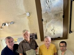 Sensation aus der Schublade