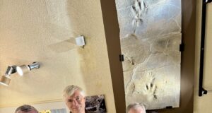 Sensation aus der Schublade